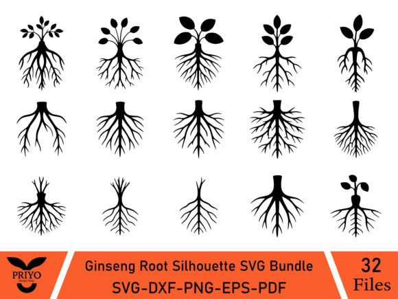 Ginseng Root SVG Bundle for Craft Graphics